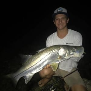 Meet your Posher, Torin